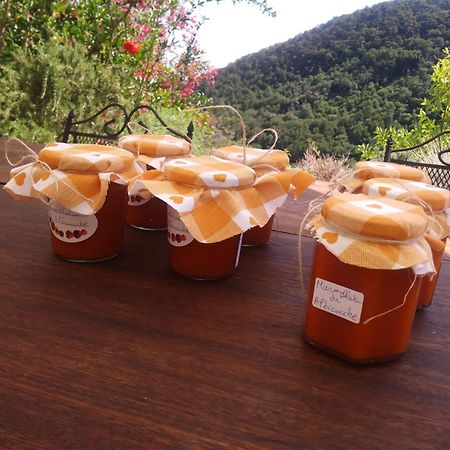 مبيت وإفطار باسّانو ديل غرابّا Poggio Del Sole المظهر الخارجي الصورة
