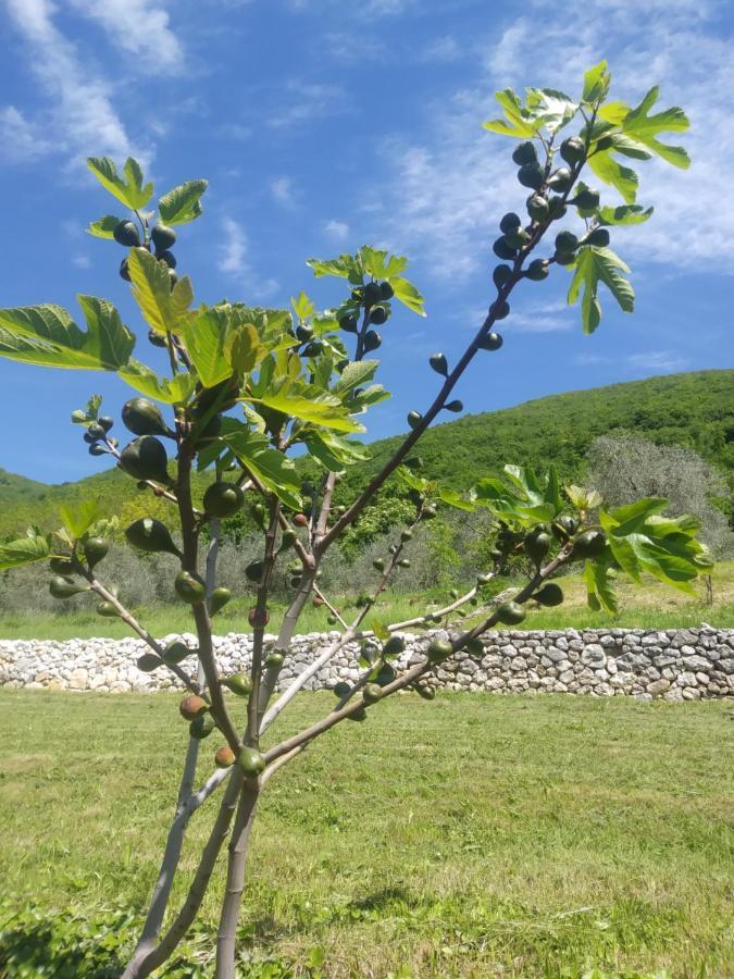 مبيت وإفطار باسّانو ديل غرابّا Poggio Del Sole المظهر الخارجي الصورة