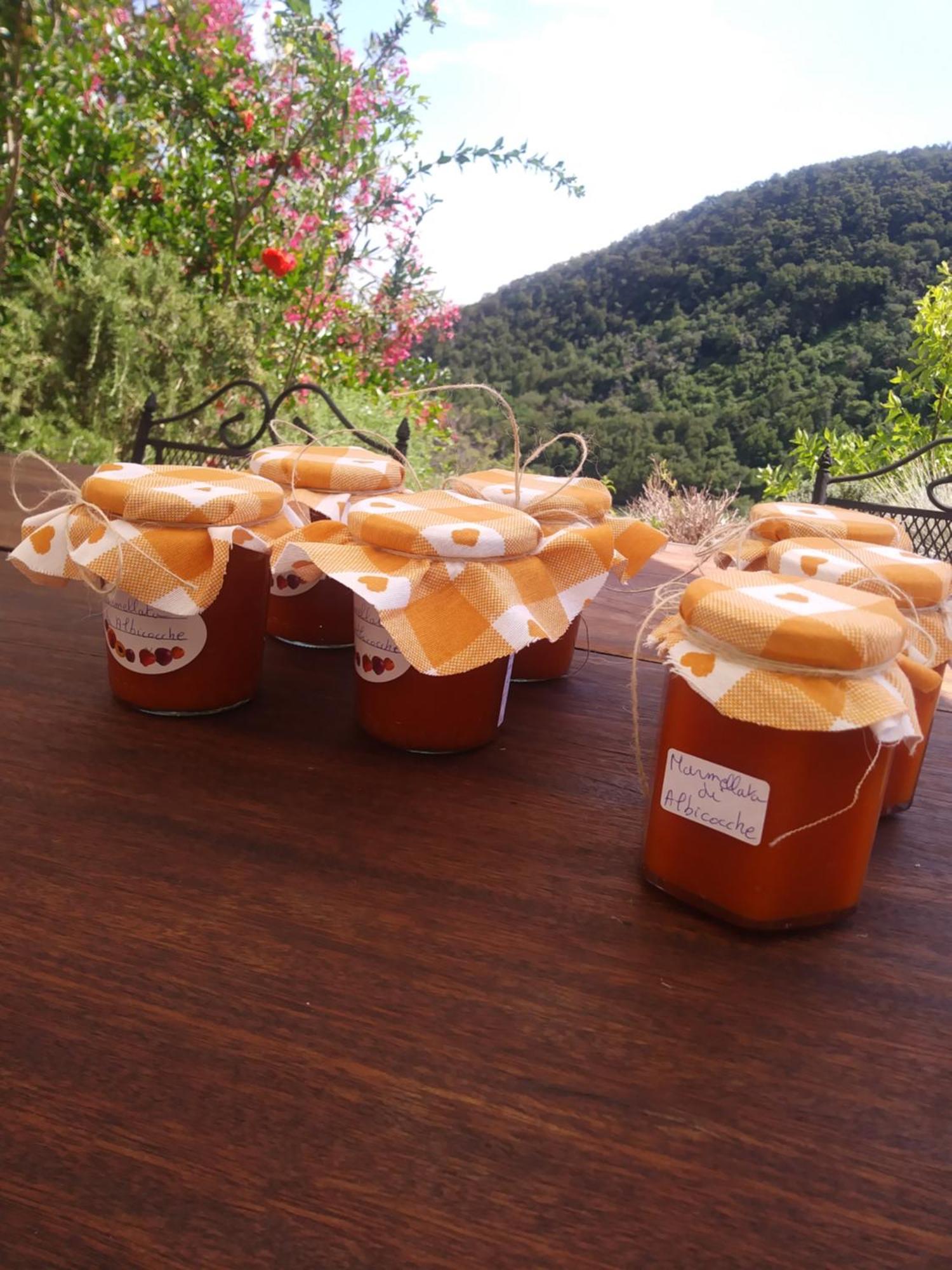 مبيت وإفطار باسّانو ديل غرابّا Poggio Del Sole المظهر الخارجي الصورة